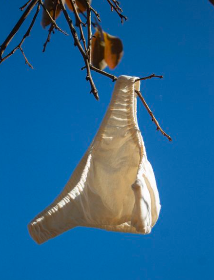 Roupa íntima feita de algodão orgânico e tingimento natural